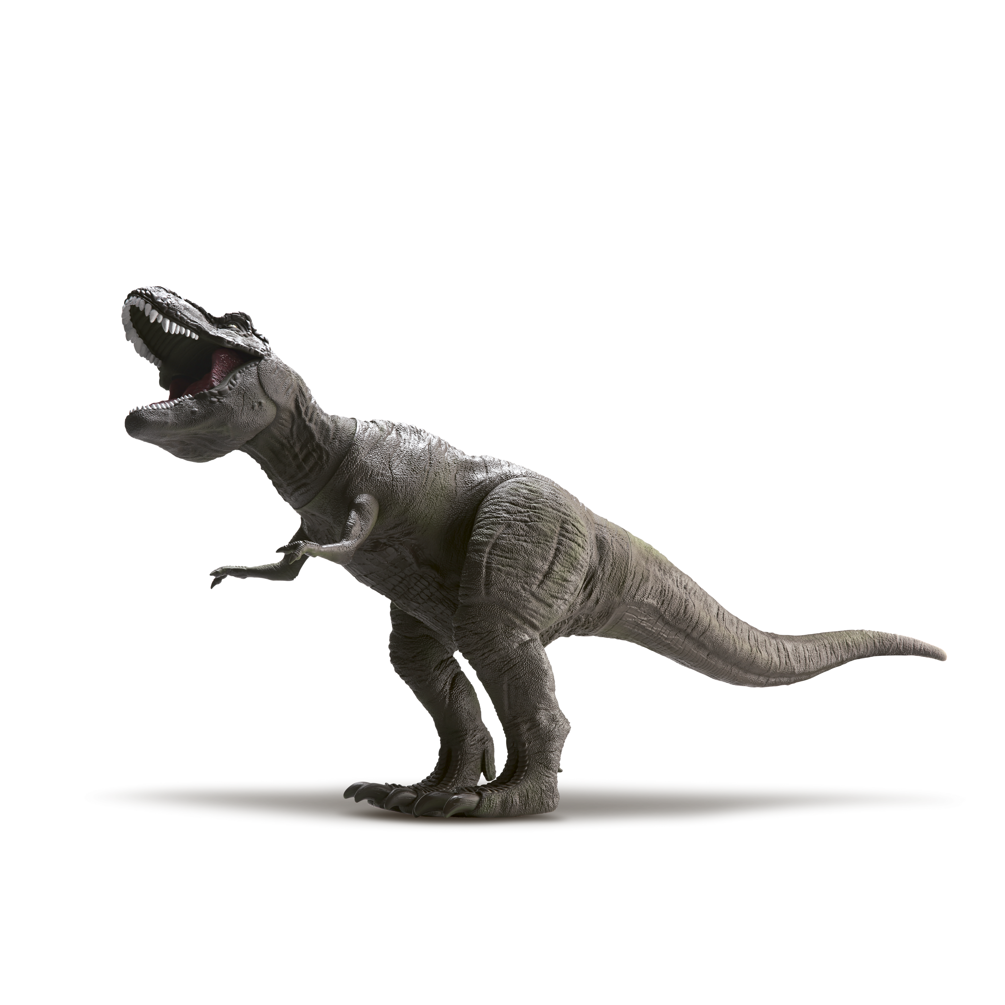 Diver Dinos Gigante - T-Rex