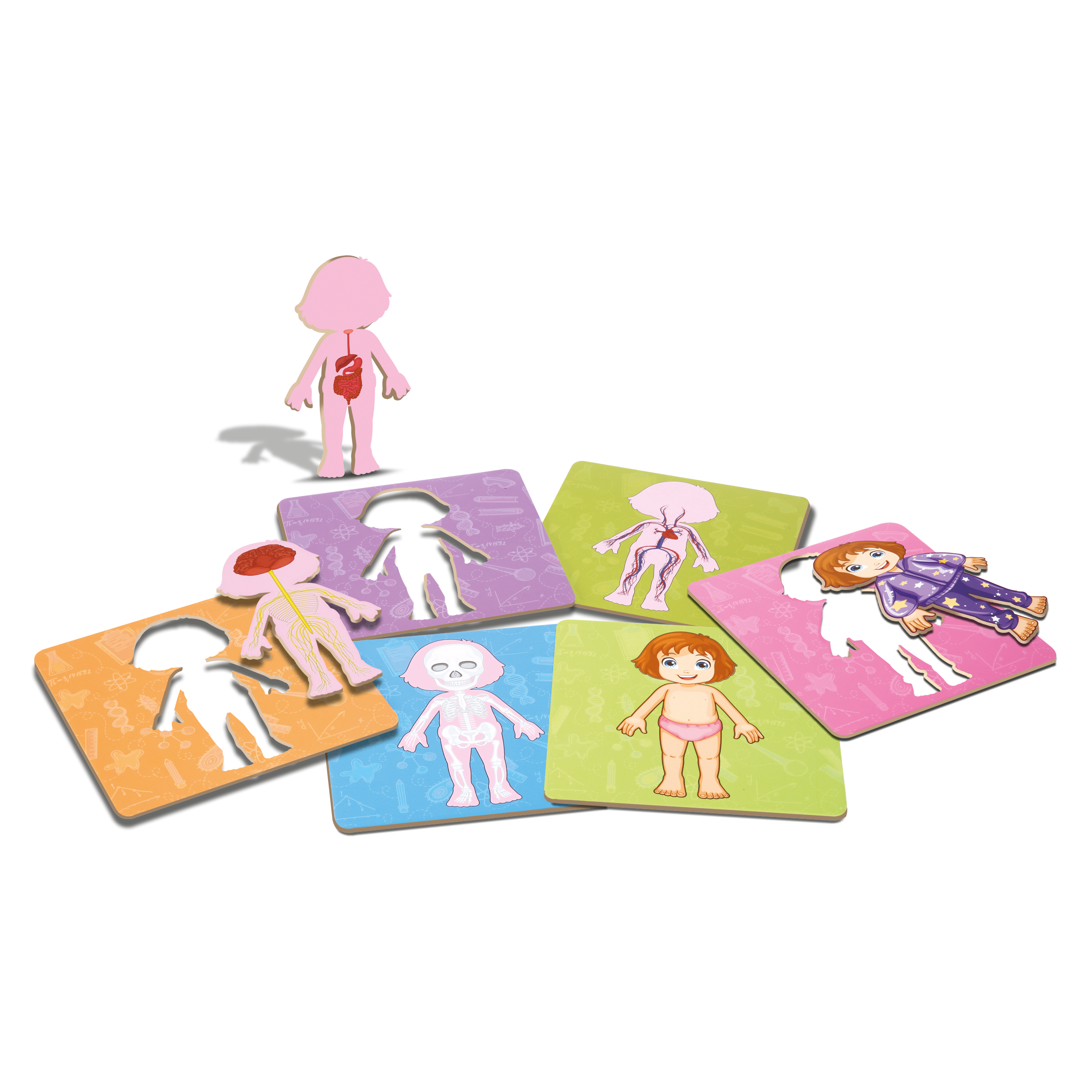 ABC Diver - Aprendendo com o corpo humano